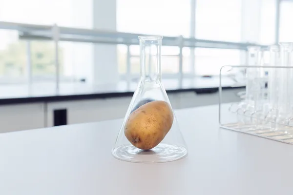 Impossible photorealistic illustration of a potato in a flask