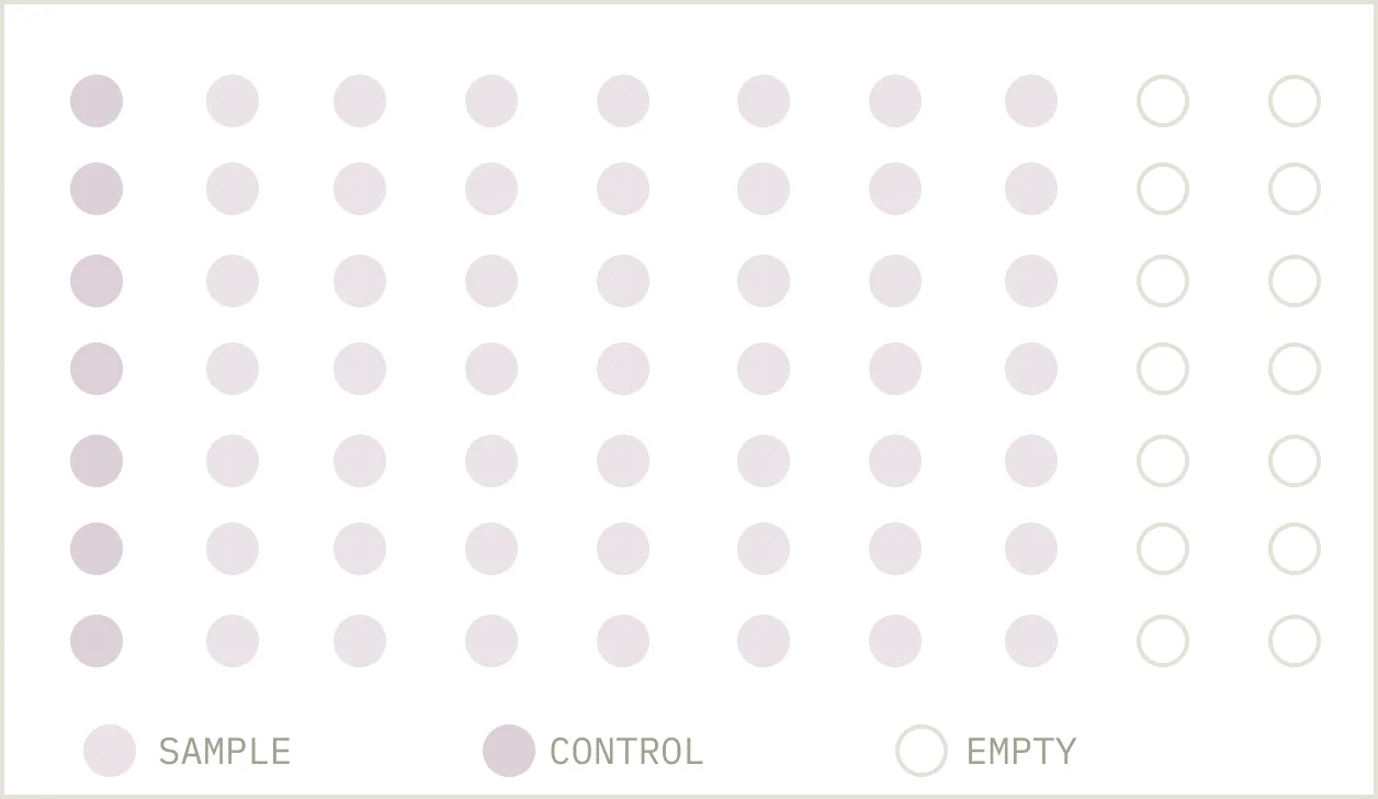 Simulated plate layout showing samples, controls, and empty wells